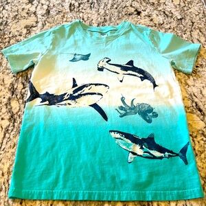 Boys Shark T-Shirt